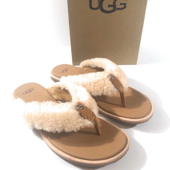 black ugg flip flops